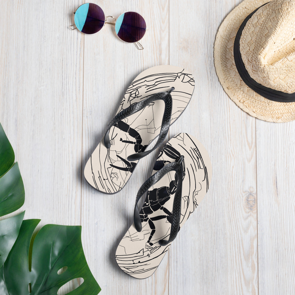 Flip-Flops