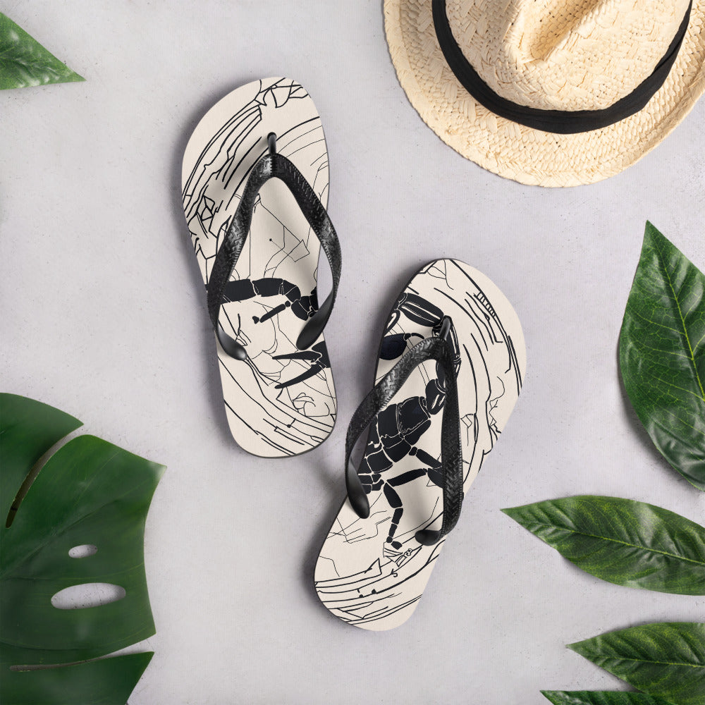 Flip-Flops