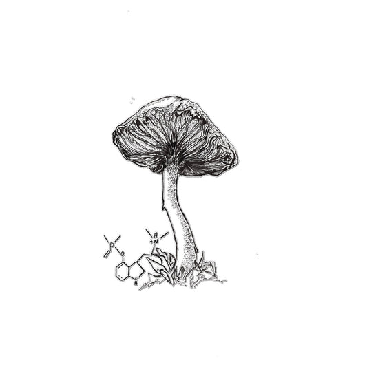 Shroom  Temporary Tattoo