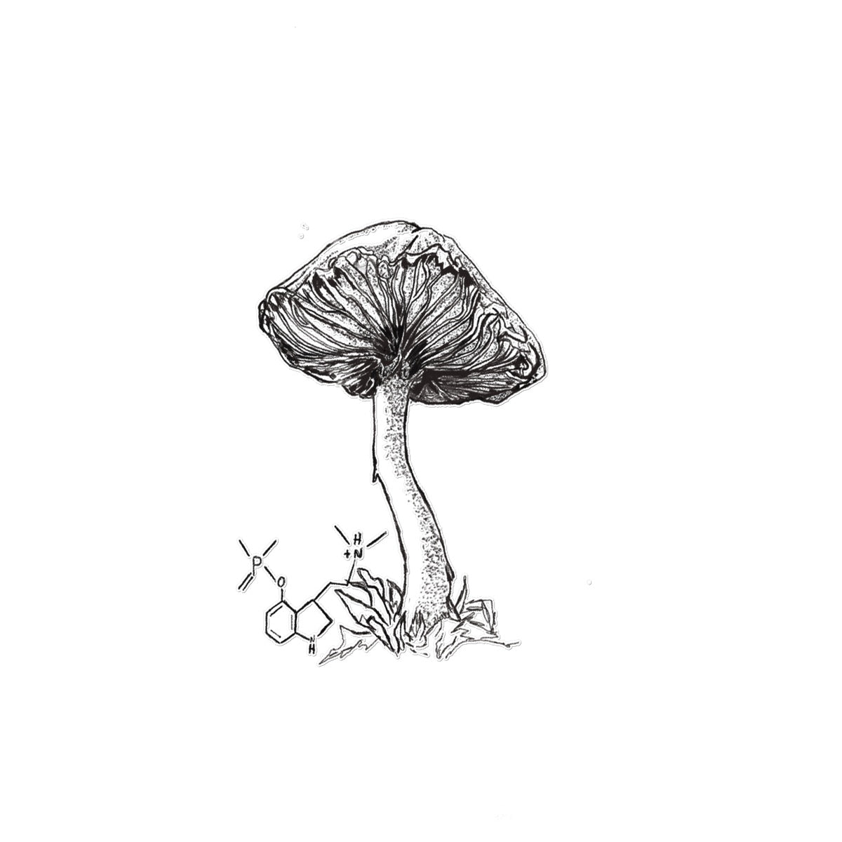 Shroom  Temporary Tattoo