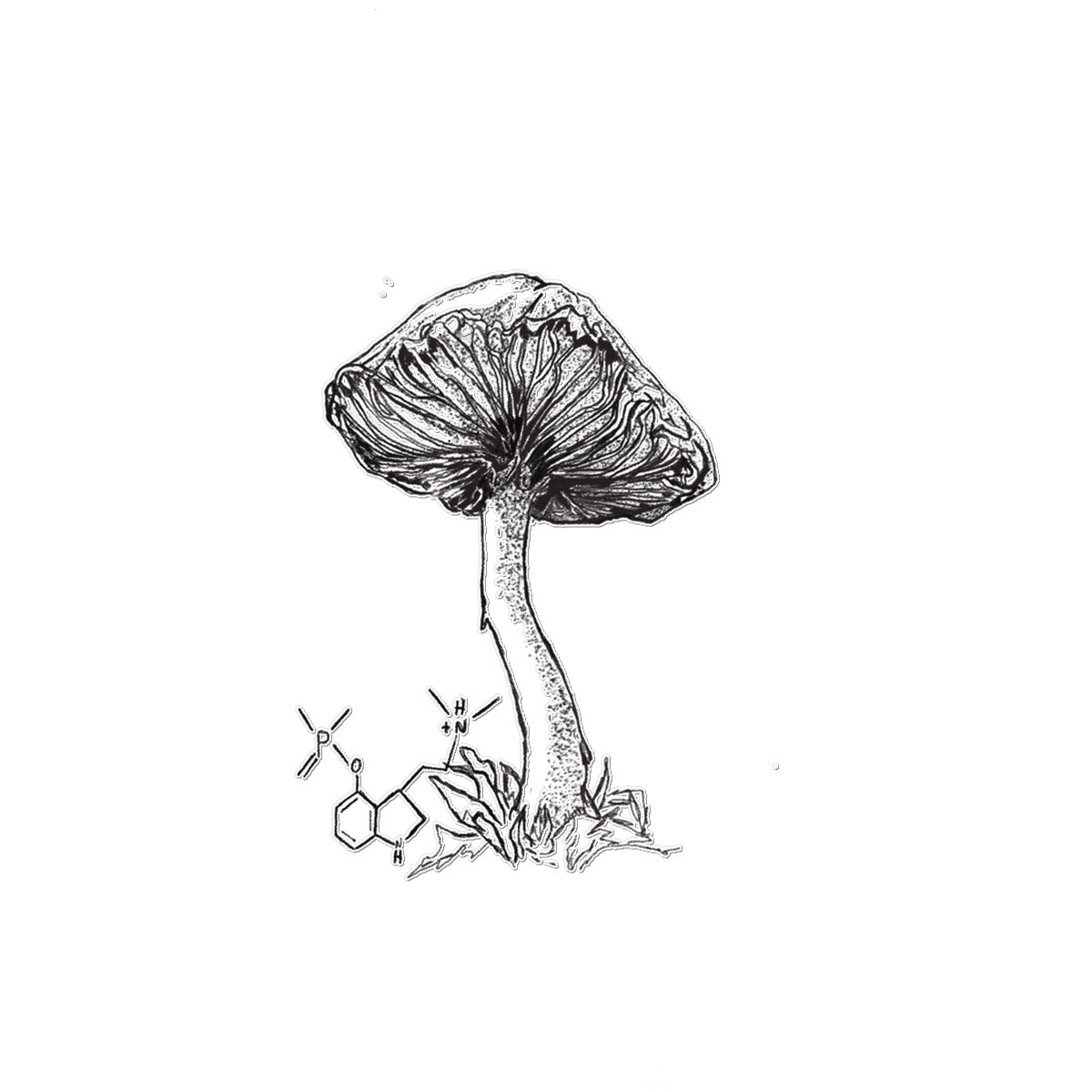 Shroom  Temporary Tattoo